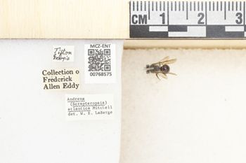 Media type: image;   Entomology 768575 Aspect: Labels